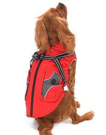 Küçük ve Orta Irk Köpek Yelek Mont - Matana Kırmızı