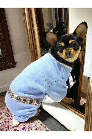 Blue Collage Köpek Ceketi, Köpek Kazağı, Köpek Kıyafeti