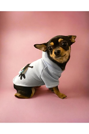 Ladybird Kapşonlu Köpek Sweatshirt, Köpek Kazağı, Köpek Kıyafeti