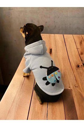 Ladybird Kapşonlu Köpek Sweatshirt, Köpek Kazağı, Köpek Kıyafeti