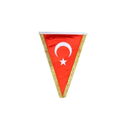 Türk Bayrağı Üçgen Simli 20x30 cm