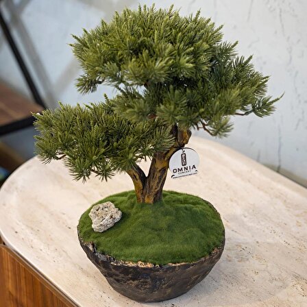 Calipso Bonsai-4 Masaüstü Kullanıma Uygun Doğal Ağaç Gövdeli Mini Yapay Bonsai Ağacı - 30x40 Cm