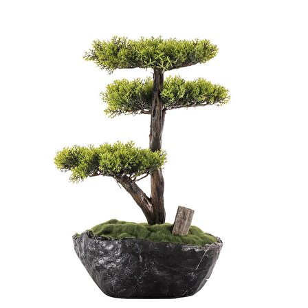Calipso Bonsai-6 Masaüstü Kullanıma Uygun Doğal Ağaç Gövdeli Mini Yapay Bonsai Ağacı - 30x30 Cm
