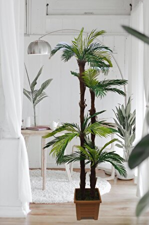 Tropikal Areka Sıkas Palmiye ağacı  dört gövdeli ahşap görünümlü plastik saksıda