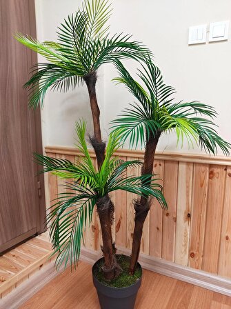 Tropikal sıkas palmiye ağacı 3 gövdeli 27 dallı 125 cm antrasit saksıda