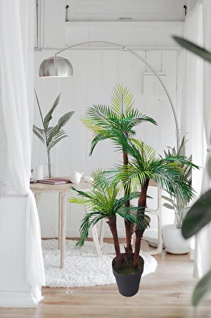 Tropikal sıkas palmiye ağacı 3 gövdeli 27 dallı 125 cm antrasit saksıda