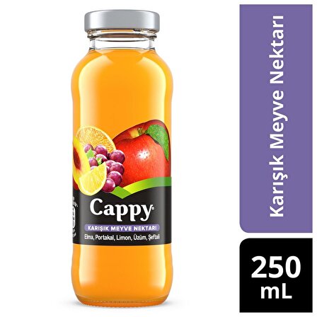 Cappy Bahçe Karışık Meyve Nektarı Cam 250 Ml