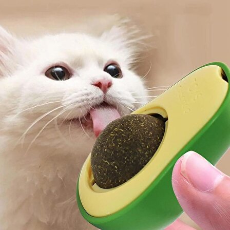 CoolToolls Avokado Kedi Nanesi Kedi Otu Topu Kedi Oyuncağı Yapışkanlı Catnip