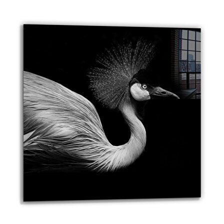 DCHCA4941 - Cam Baskı Kare Tablo / Turna Kuşu - 50 x 50 cm