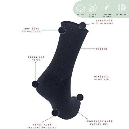 Coton Dikişsiz Lastiksiz Roll-top Yazlık Sıkmayan 2 'li Paket Uzun Kadın Çorap Seti