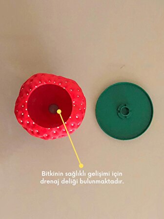 Çilek Saksı - 10cm - Bioplastik