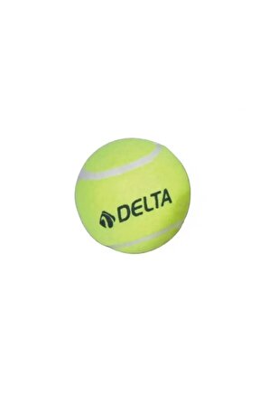 Başlangıç Seviye Antrenman veya Kedi Köpekler İçin 1 Adet Basit Tenis Topu