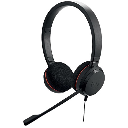 Jabra Evolve 20 Duo USB NC MS