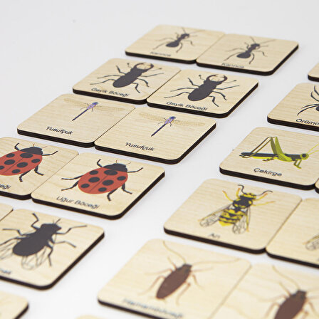 Montessori Ahşap Hafıza Kartıları Eşleştirme Oyunu (Böcekler)
