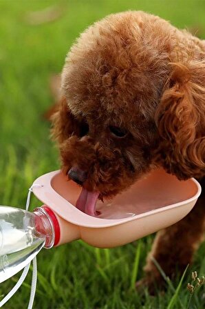 3 Adet Evcil Hayvan Kedi Köpek Suluğu Seyahat Su Şişesi Kasesi Pet Şişe Bağlantılı Kabı 3 Adet