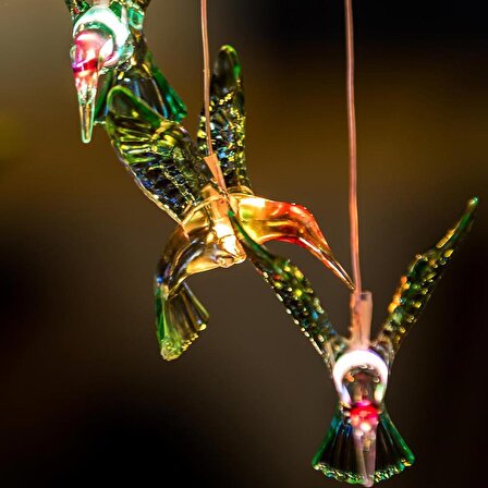 Solar 6lı Kuş Sarkıt Led Işık Renk Değiştiren Kuşlar Güneş Enerjili Bahçe Teras Dekor Süs Işıkları