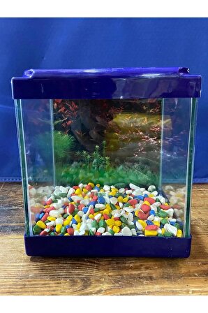 Japon Balığı, Beta Balığı Için Mini Akvaryum 4lt. (MOR) (AKSESUAR SETİ HEDİYELİ)