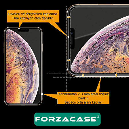 Forzacase iPhone 11 ile uyumlu Temperli Kırılmaz Cam Ekran Koruyucu - FC002