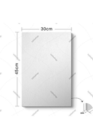 Klasik Amerikan Arabası Tablosu (Model 2 - 30 x 45)