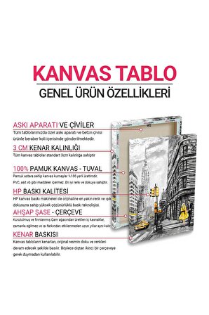 Klasik Amerikan Arabası Tablosu (Model 3 - 30 x 30)