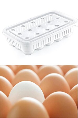 15 Bölmeli Yumurta Saklama Kabı, Kapaklı Yumurta Düzenleyici, Steril Yumurtalık Organizer 15’li