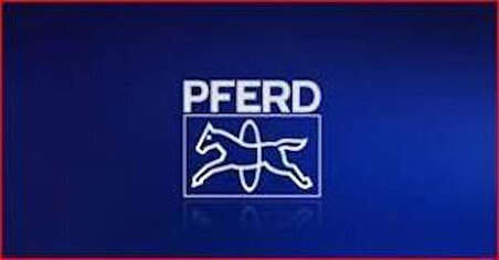 Pferd 3/16 (4.8mm) Motorlu Testere Eğesi Orta 3lü Paket