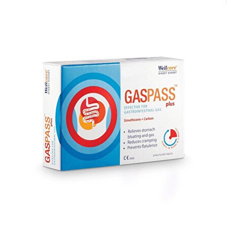 Wellcare Gas Pass Plus 20 Tablet