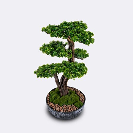 Galatea Thuja-5 Masaüstü Kullanıma Uygun Doğal Ağaç Gövdeli Yapay Bonsai Ağacı - 45x60 Cm