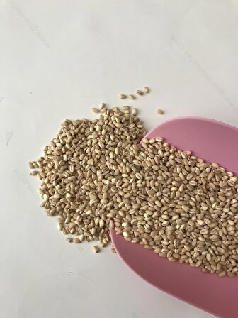 Göçmen Aşurerik Buğday(1kg)