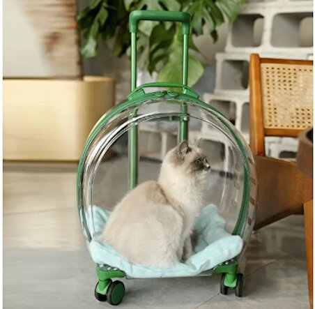 Evcil hayvan arabası kedi köpek şeffaf pencere geniş görüş seyahat tekerlekli çanta