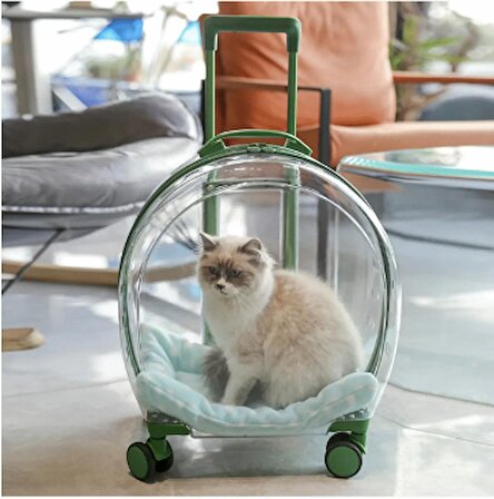 Evcil hayvan arabası kedi köpek şeffaf pencere geniş görüş seyahat tekerlekli çanta