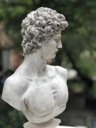 David 'Aged' Dekoratif Heykel, Pop Art Roma Yunan Heykelleri