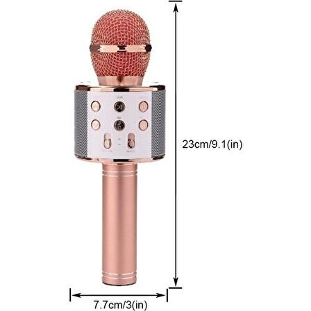 Case 4U Karaoke Mikrofon Bluetooth Hoparlör Aux Usb Mikro Sd Kart Girişli Rose Gold