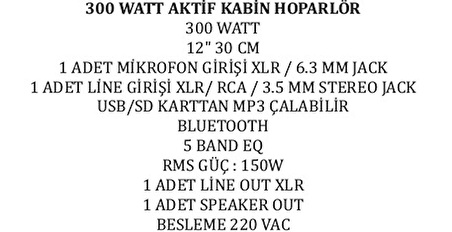 30 CM 300 WATT 12 AKTİF KABİN HOPARLÖR (4324)