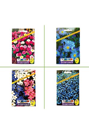 4'lü Special Seri (Çilek Papatyası - Mavi Papatya - Unutma Beni - Nobelya Maviş Çiçeği Tohumları)