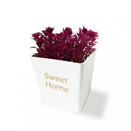 Sweet Home Tasarımlı Dekoratif Saksıda Çiçek