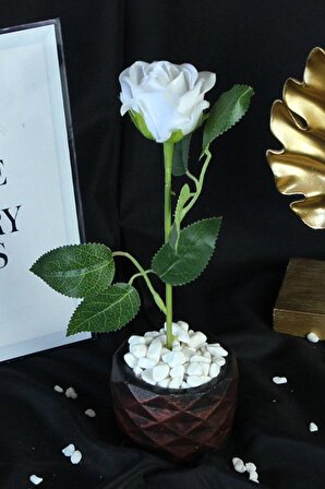 Çiçek Taş Rose Gölgeli Saksı Beyaz Yapay Gül