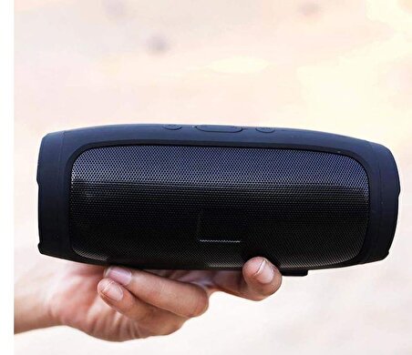 Charge Mini 3+Bluetooth Portable Wireless Speaker