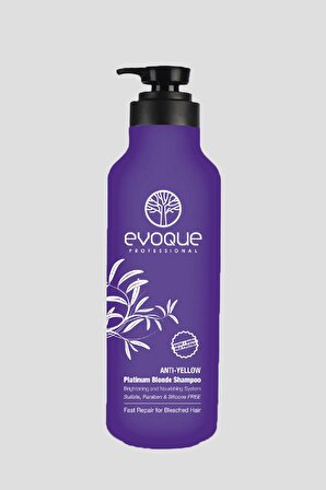 Evoque Normal Saçlar İçin Canlandırıcı Sülfatsız Şampuan 1000 ml