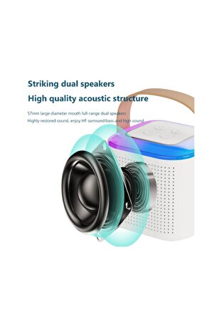 Karaoke Mikrofon Taşınabilir Bluetooth 5,3 Kablosuz Profesyonel Mini Mikrofon