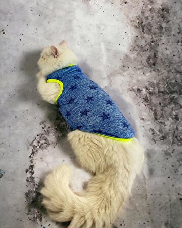 Starcle Blue Atlet Kedi Kıyafeti Kedi Elbisesi