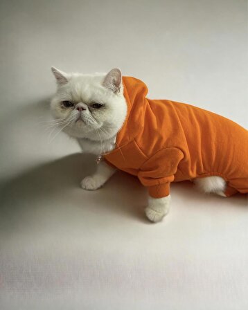 Pro Orange Duo Polar Kapşonlu Kedi Tulumu Kıyafeti