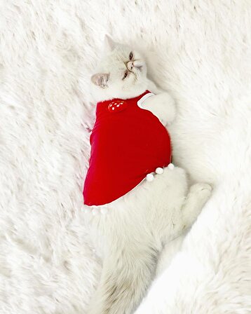 Berry Boo Atlet Kedi Kıyafeti Kedi Elbisesi