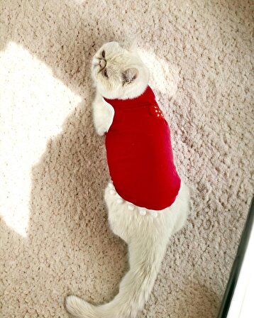 Berry Boo Atlet Kedi Kıyafeti Kedi Elbisesi