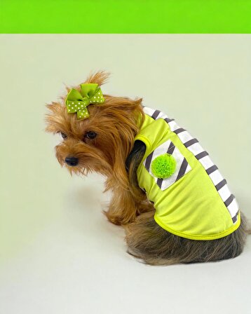 Lime Fuzz Atlet Köpek Kıyafeti  Köpek Elbisesi