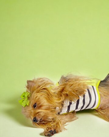 Lime Fuzz Atlet Köpek Kıyafeti  Köpek Elbisesi
