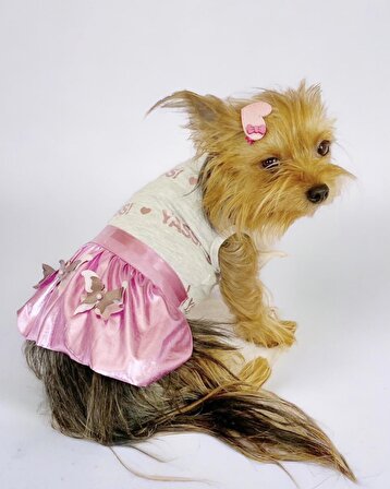 Yassi Glitz Köpek Elbisesi, Köpek Kıyafeti