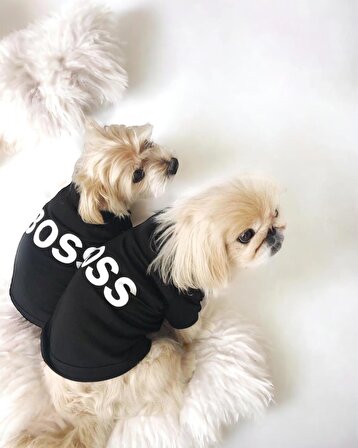 DOG Boss Köpek Tişört