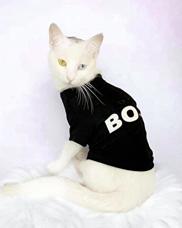 Patron Boss Siyah Kedi Tişörtü 