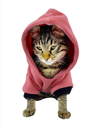 Student Rabbit Sweatshirt Kedi Kıyafeti Kedi Elbisesi
